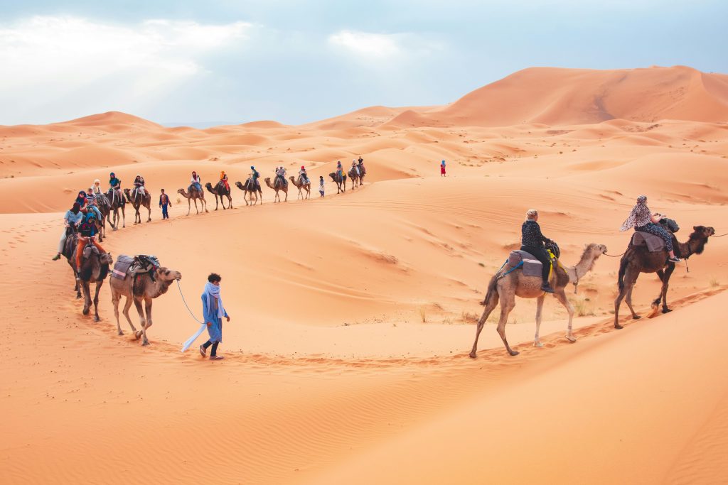 Merzouga desert tours